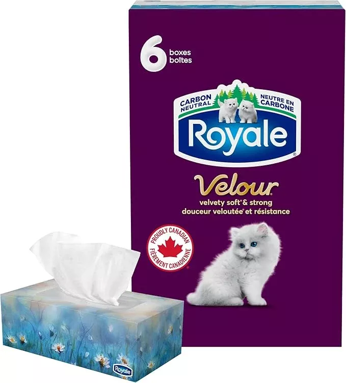 Royale Velour 3-Ply Facial Tissue – 6 Tissue Boxes, 82 Sheets per Box, Ultra Soft & Strong